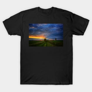 Wandering Souls T-Shirt